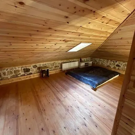 Cozy House *