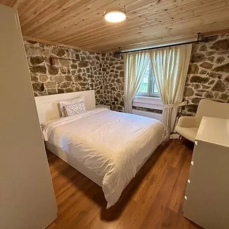 Cozy House *