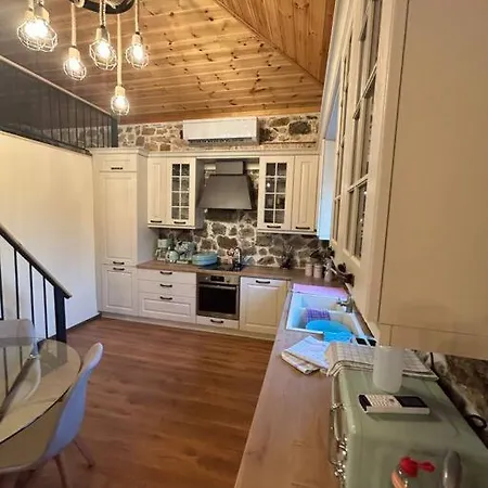 Cozy House
