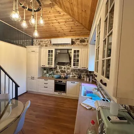 Cozy House *