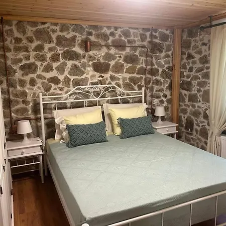 Cozy House Nipsa