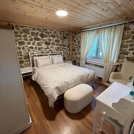 Cozy House *